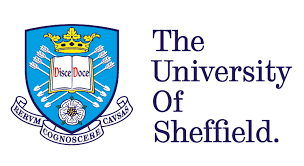 Sheffield UNiversity pre sessional teacher