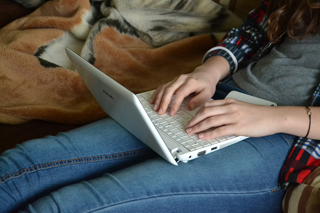Online essay writing course